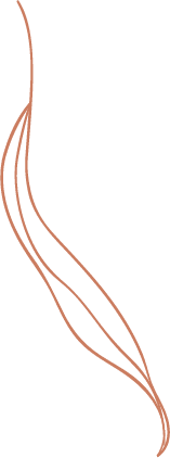 A slender, vertical leaf illustrated in a rose gold line art style curves gracefully against a transparent background.