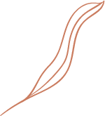 A small, close-up segment of a rose gold line art leaf on a transparent background.