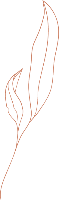 A slender, vertical illustration of a leafy vine rendered in a rose gold or copper-toned line art style, set against a transparent background.