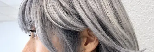 Close crop of layered silver and grey hair around an ear.